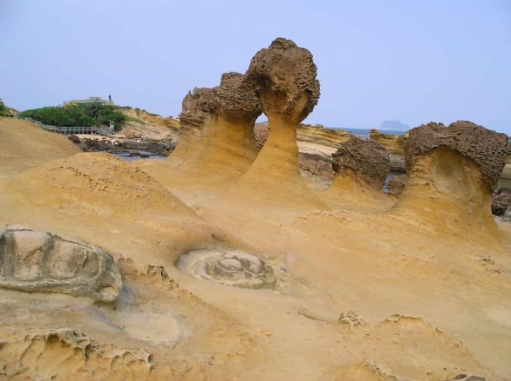 野柳蜂窩石人頭